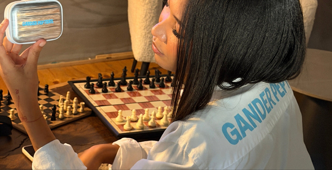 AW/SS26 GANDER: As the Birds Fly North, So Do We