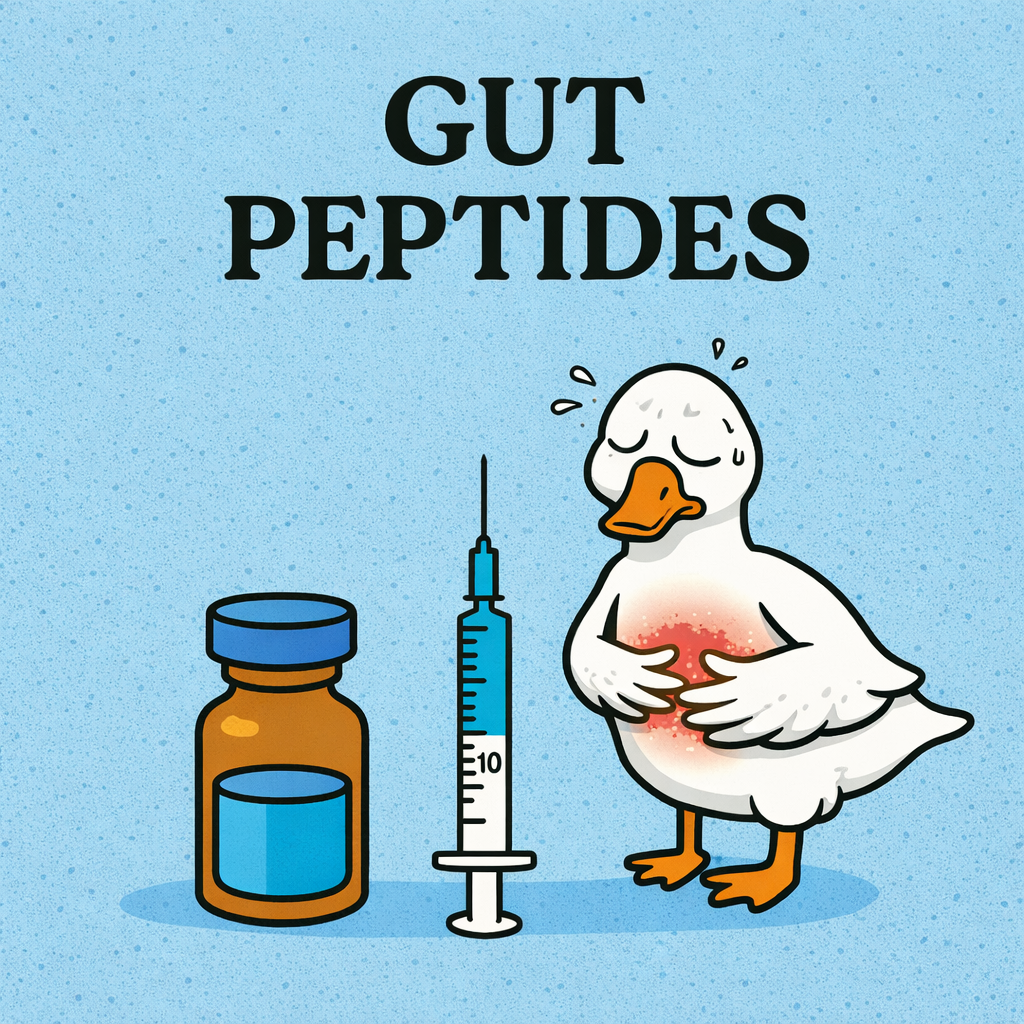 Gut Health Peptides